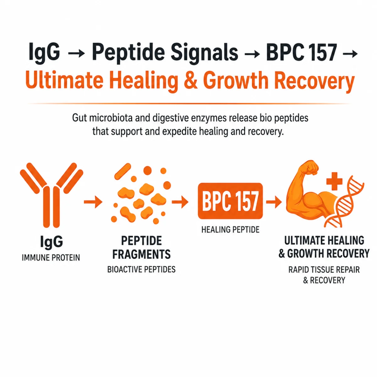 BPC Plex - Image 3