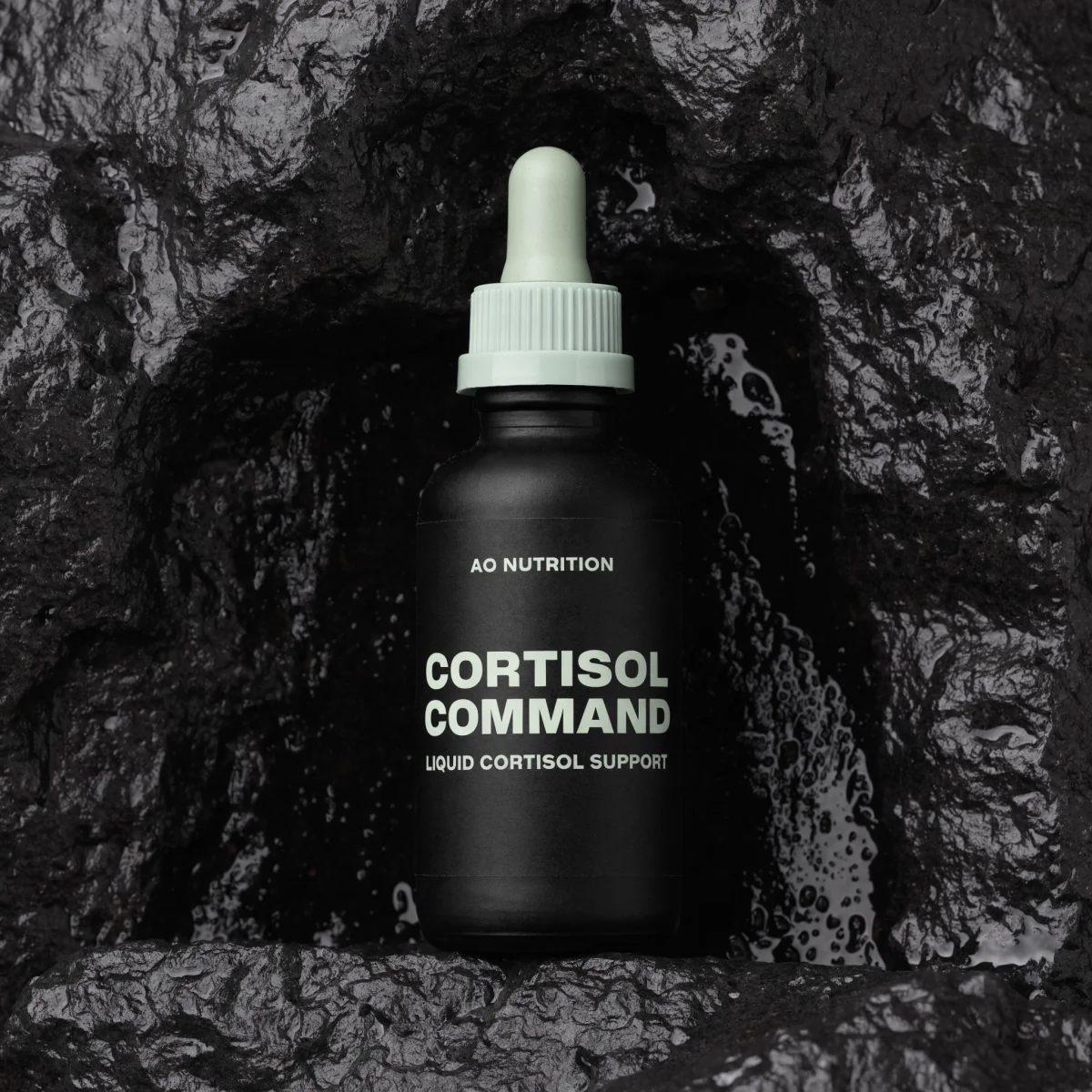 CORTISOL COMMAND
